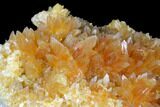 Amber-Yellow Calcite Crystal Cluster - Highly Fluorescent! #177297-3